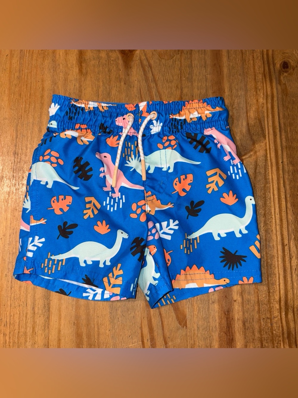 Cat & Jack 12M Boys Bright Blue Dinosaur Swim Shorts with Multicolor Dinosaurs